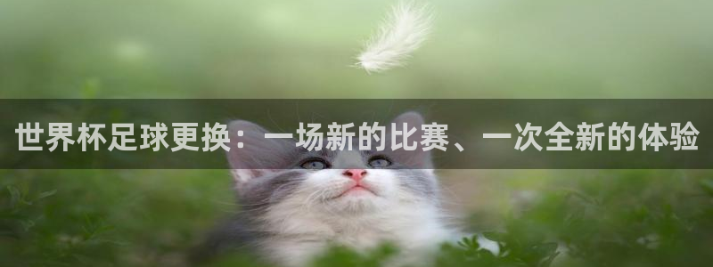 英格兰联赛杯直播:世界杯足球更换:一场新的比赛、一次全新的体验