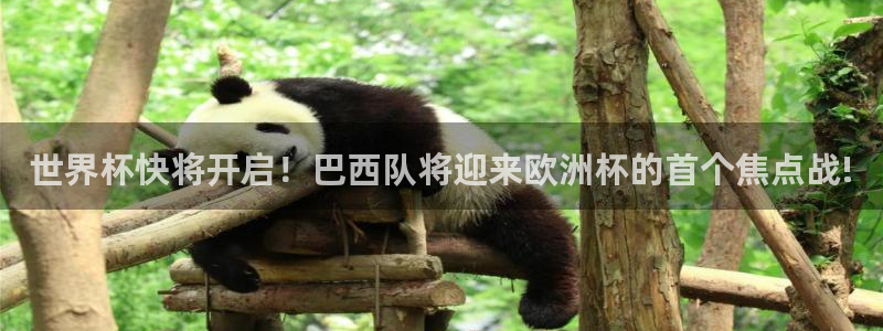 世预赛赛程表:世界杯快将开启!巴西队将迎来欧洲杯的首个焦点战!