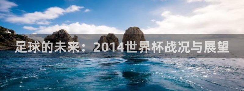 世界杯2026预选赛:足球的未来:2014世界杯战况与展望