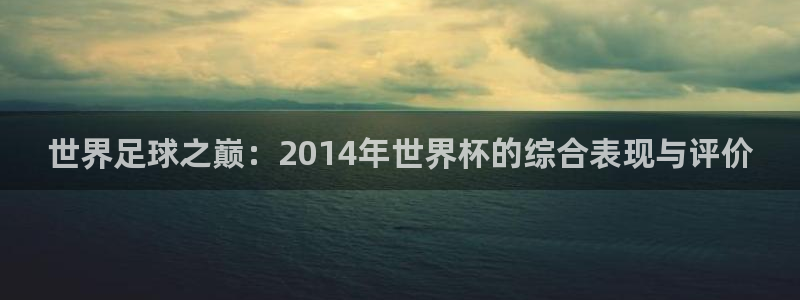 2026年世界杯直播平台:世界足球之巅:2014年世界杯的综合表现与评价