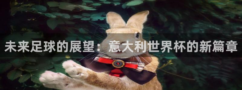 世界杯足球:未来足球的展望:意大利世界杯的新篇章