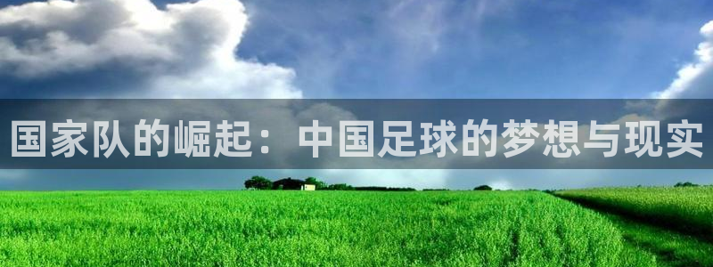 世界杯足球赛2026:国家队的崛起:中国足球的梦想与现实